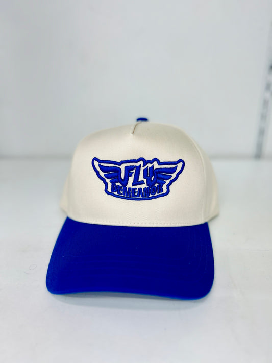 2 Tone 5 Panel Snapbacks